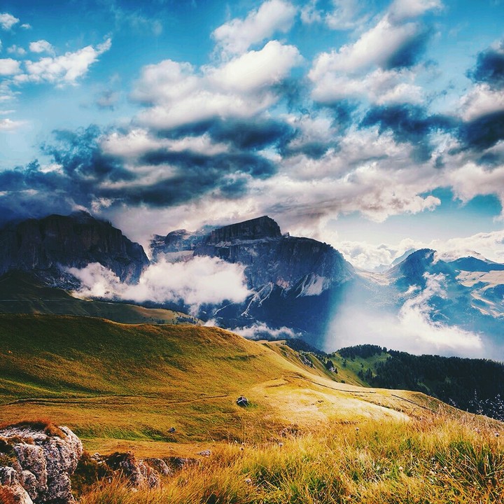 Nature