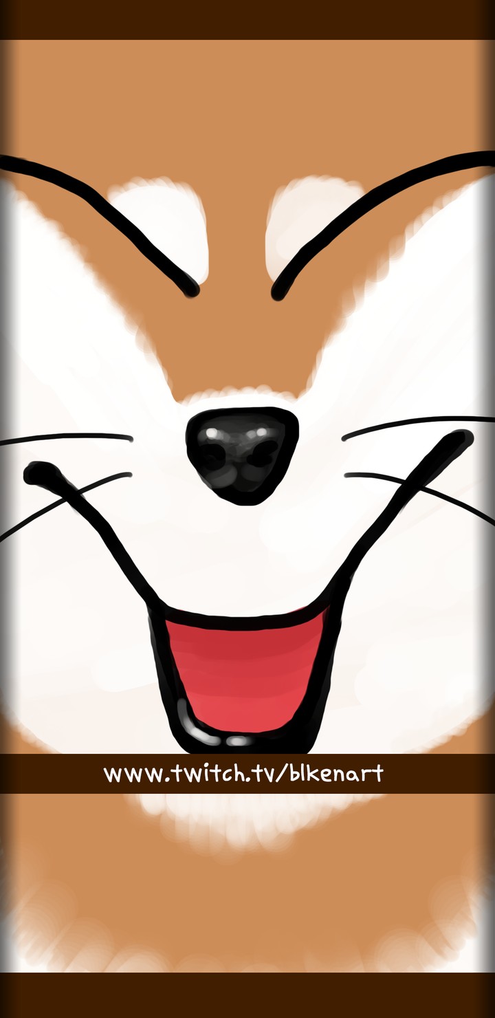 시바견