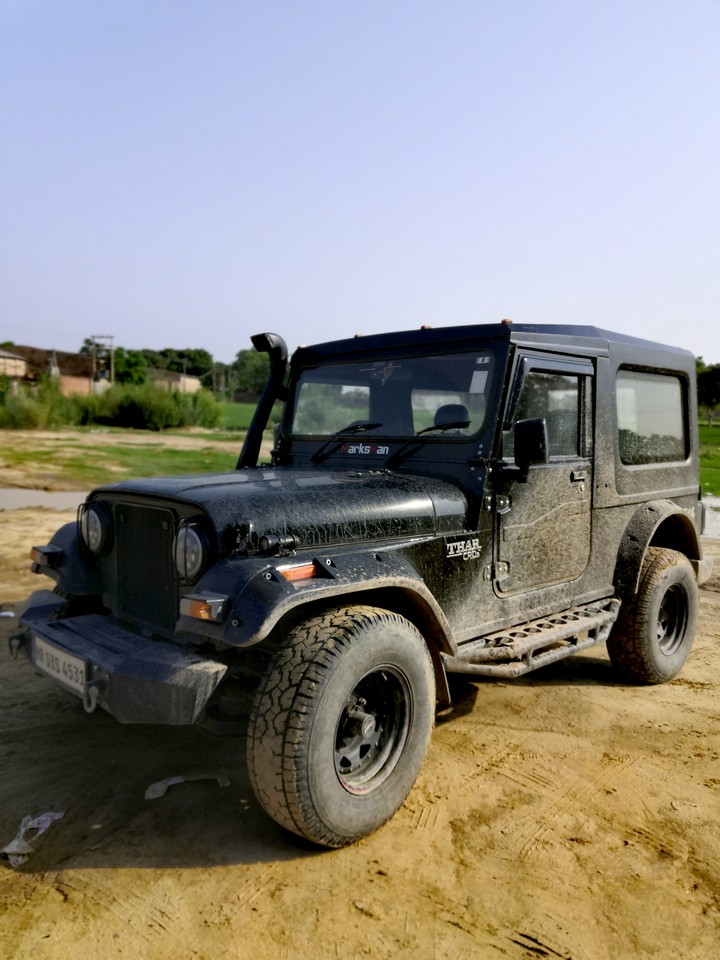 black thar