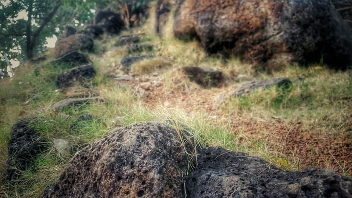 the rock way