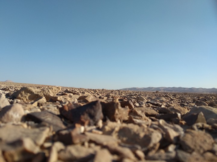 sinai egypt