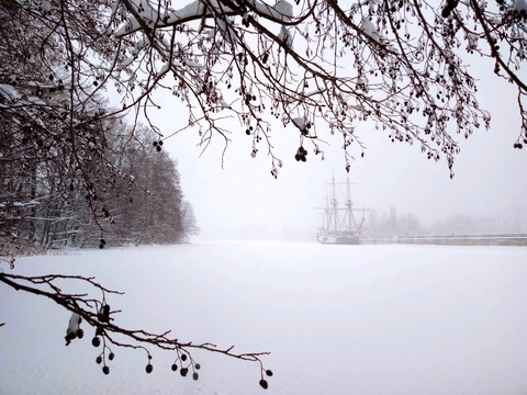winter