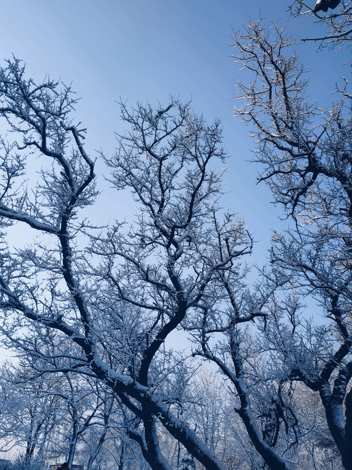 last spring snow