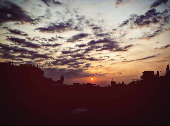 My Photography 〰️ Sunlight & Skyview
