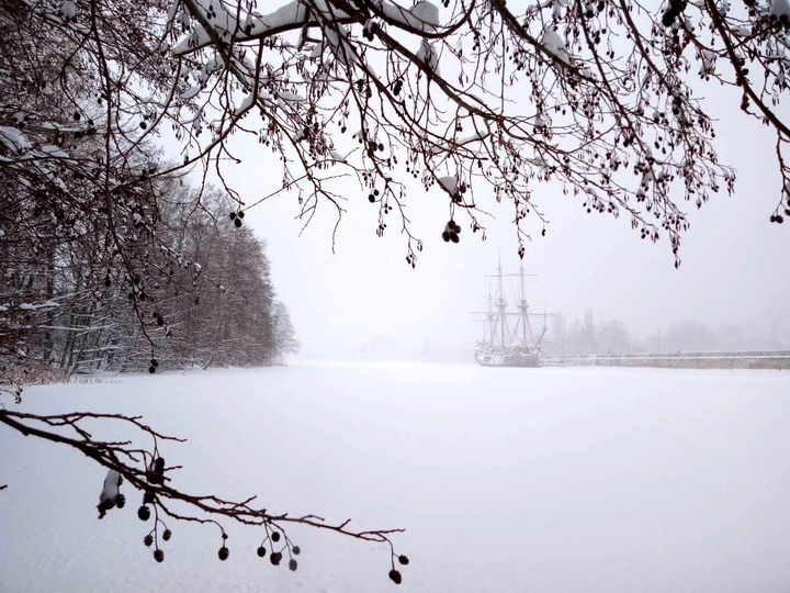 winter