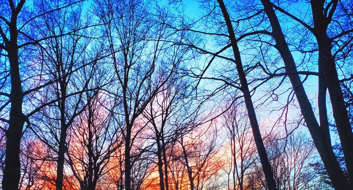 God's Hands