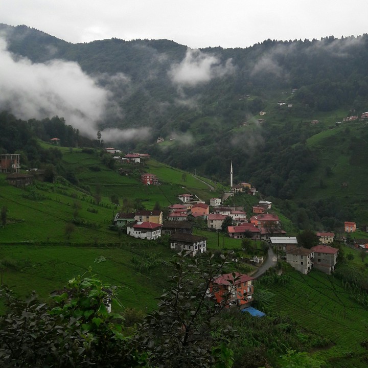 Village