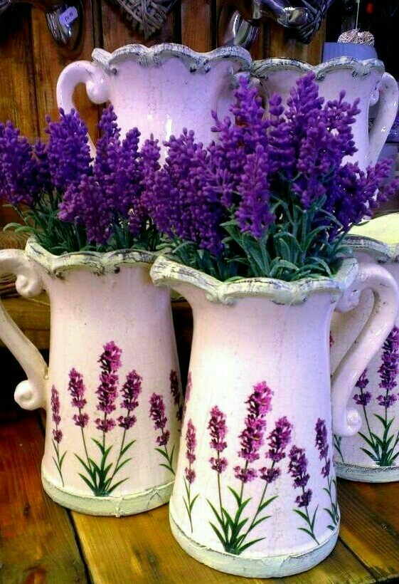 2 Flower Pots Nice Flowers?????