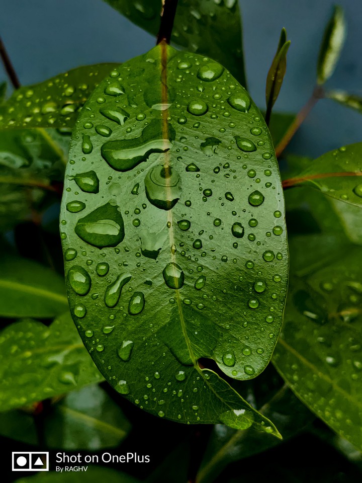 Nature is beautiful.