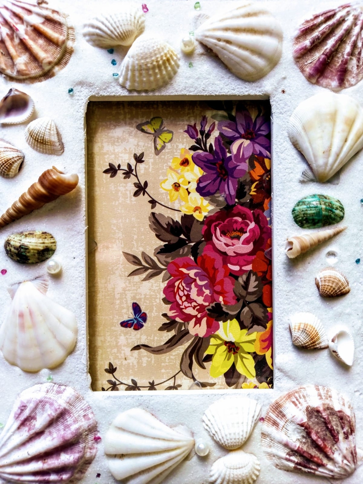 seashell