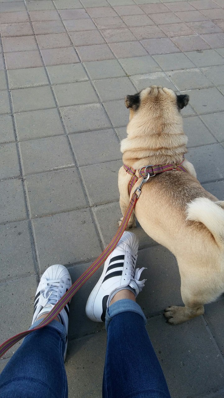 summer