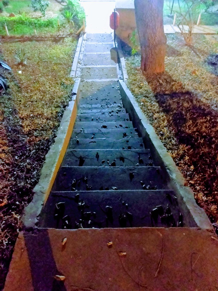 Escalera.