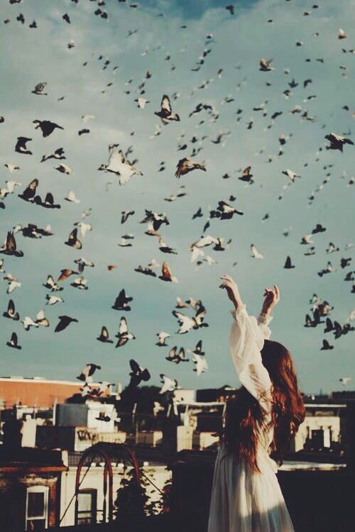 Always try to reach yourself and be free