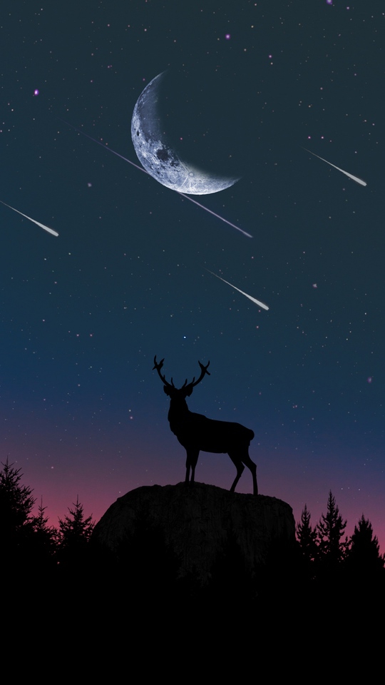 night ı love you ahshshdhheje