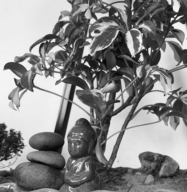 budha