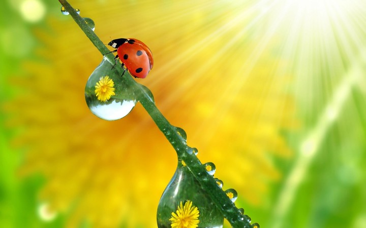 природа