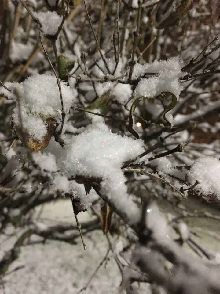 snow ❄️☃️