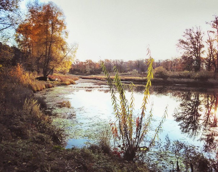 Fall lake