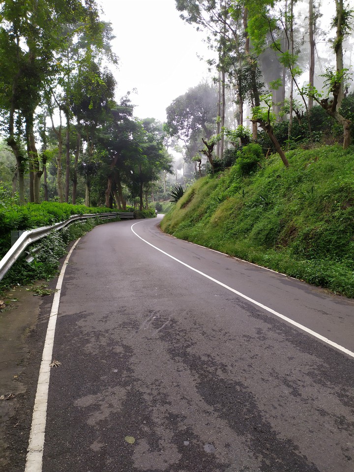Roads