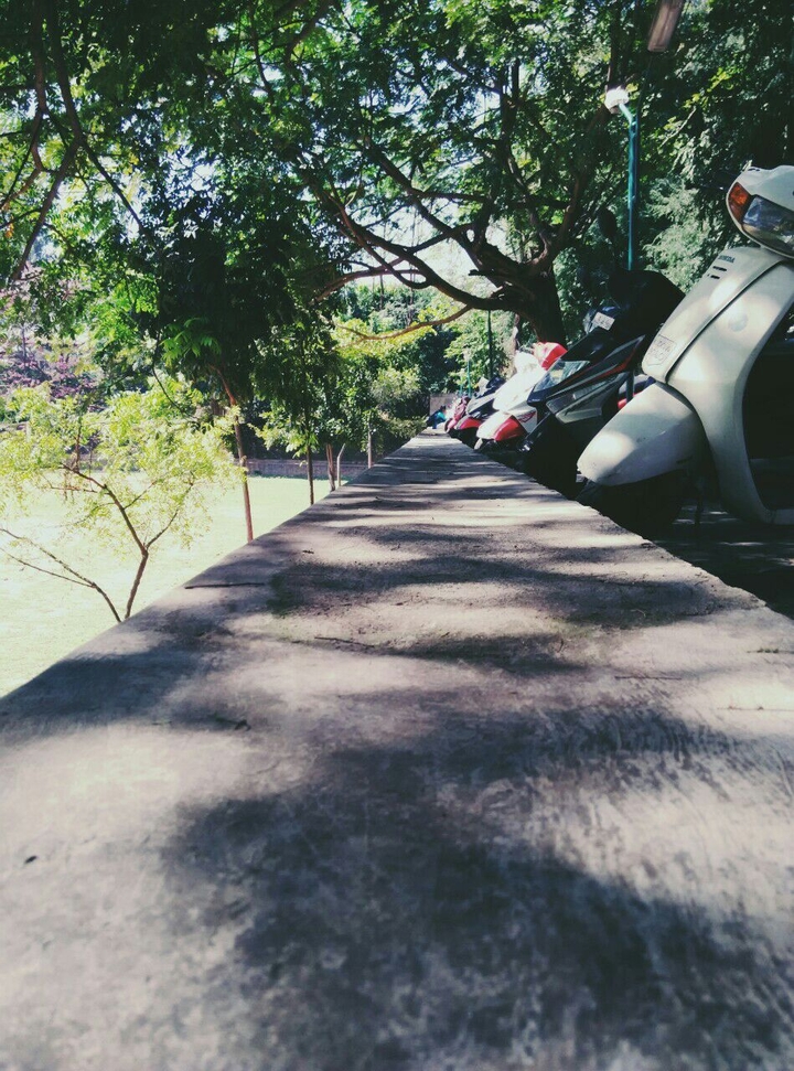 narrow path