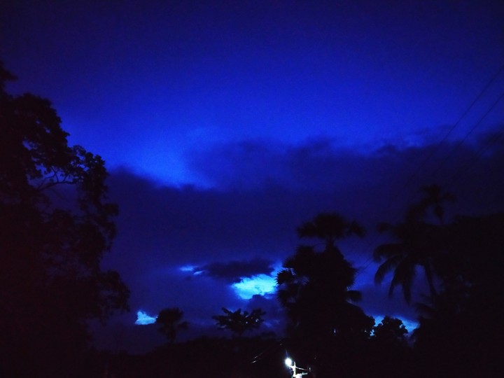 The Blue Night