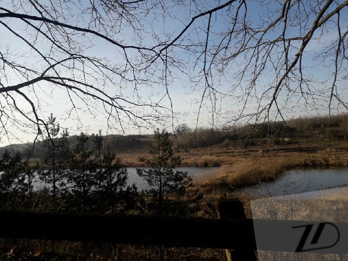 widok