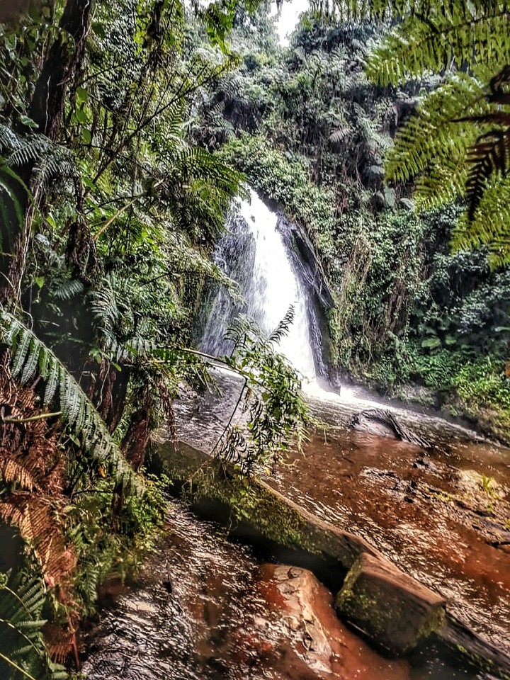 waterfall