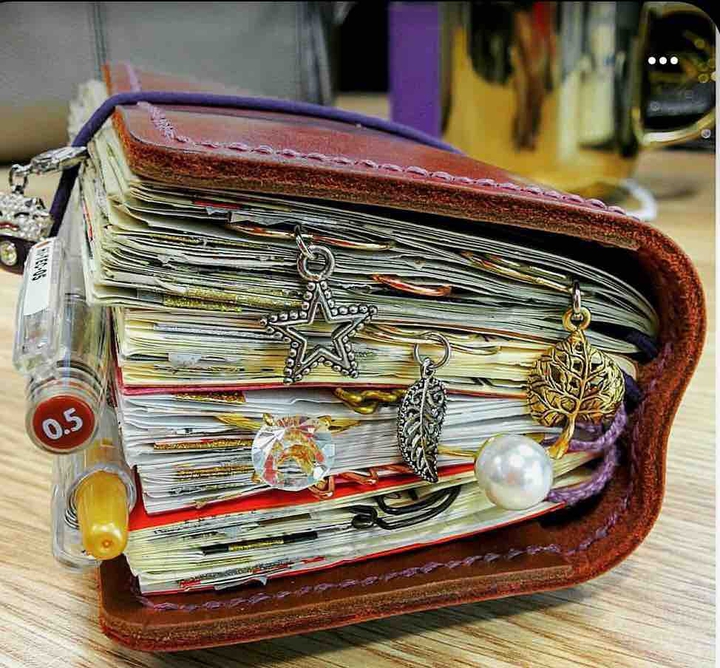 Travel ? journal