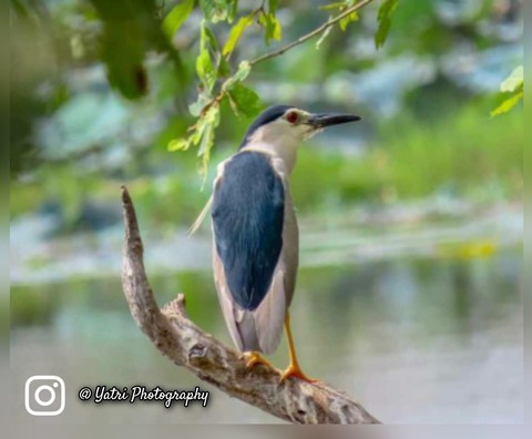 yatri Photography