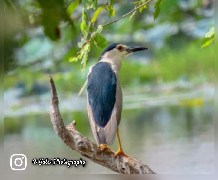 yatri Photography