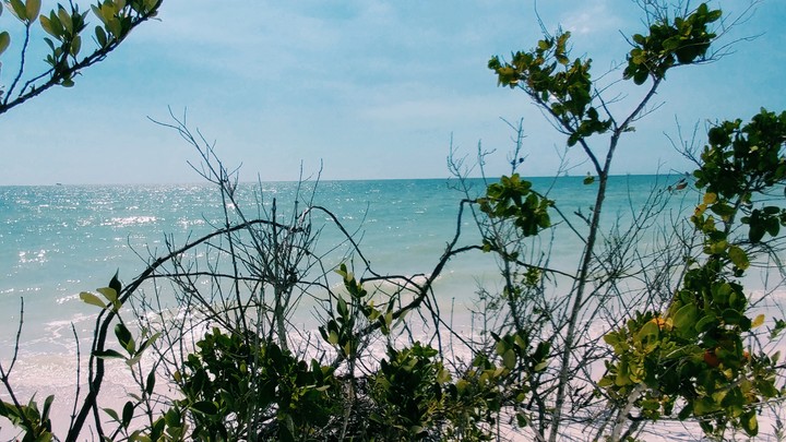 I Can Sea for Miles