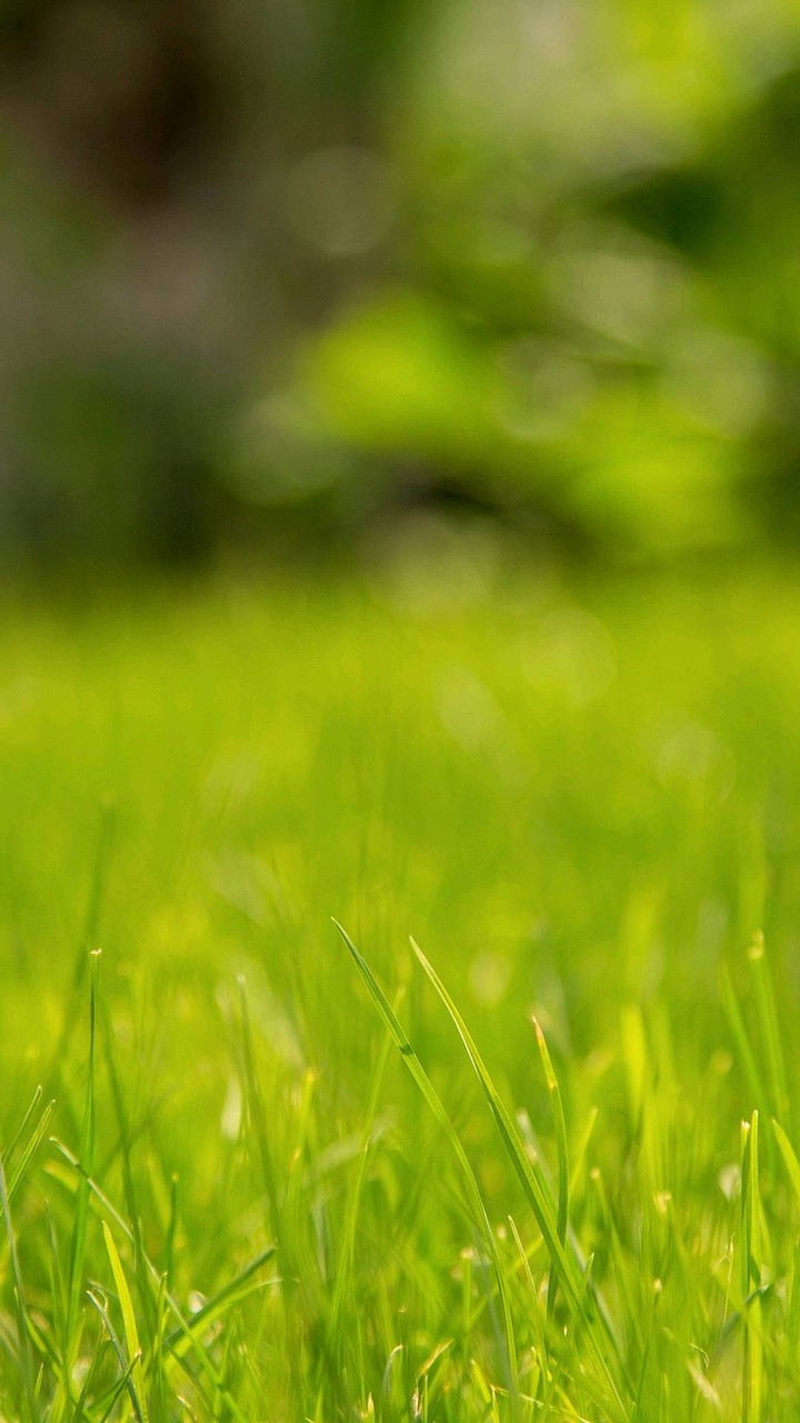 Natureza