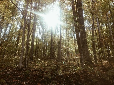 beautiful day