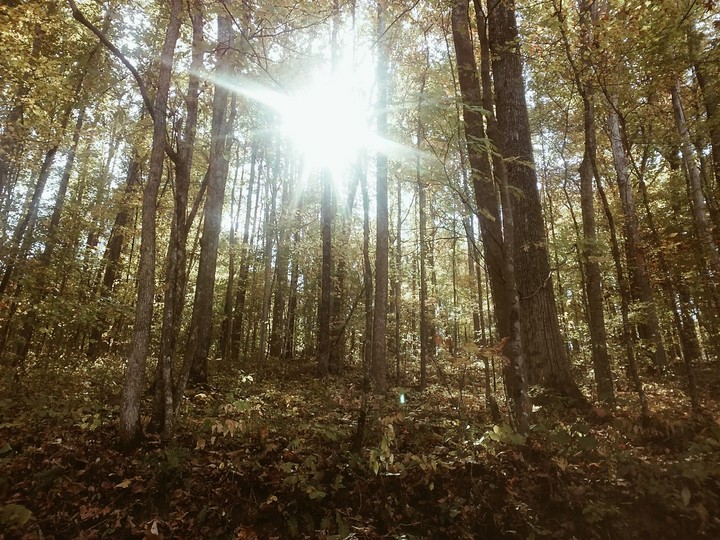 beautiful day