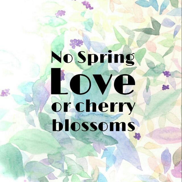 No spring, love or cherry blossoms