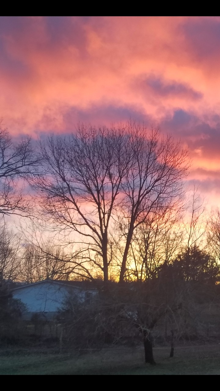 tn sunset