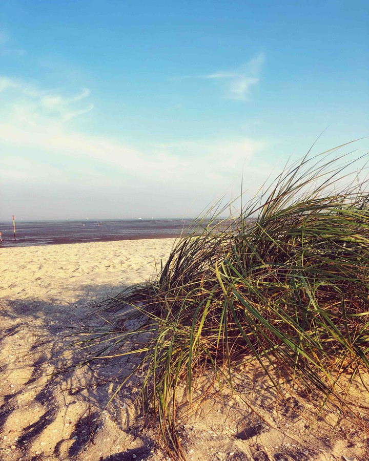 #nordsee