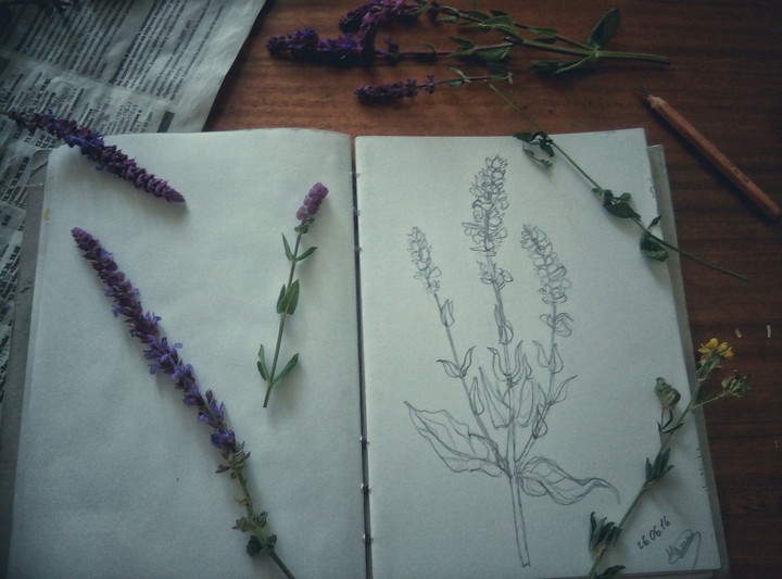 My sketch