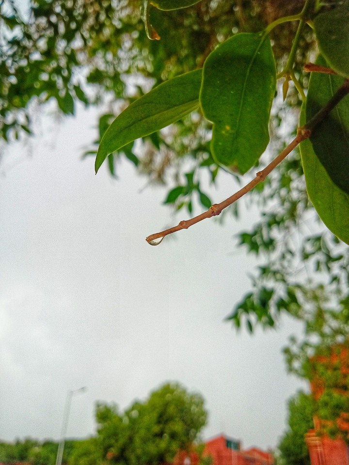 Hope of life