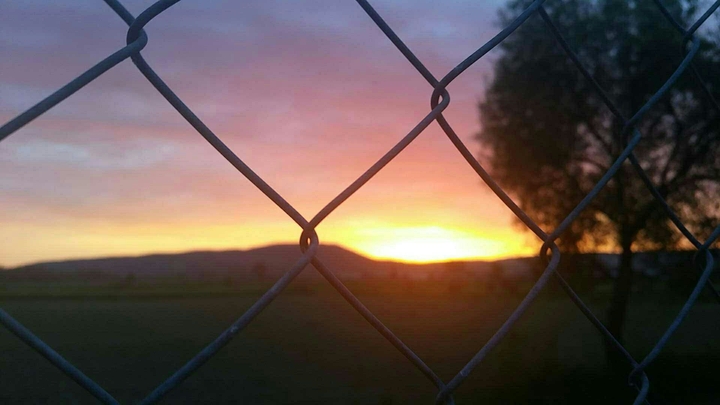 fence