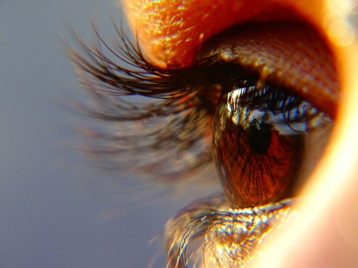 eye