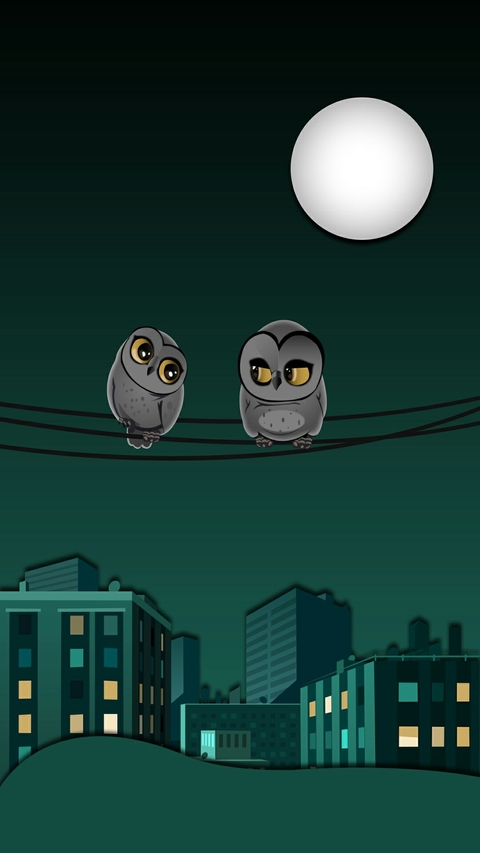 Owl