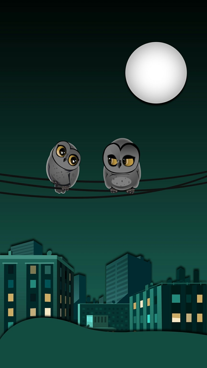 Owl