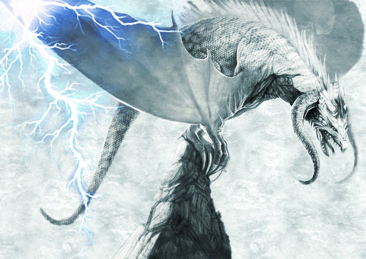 WinterDragon