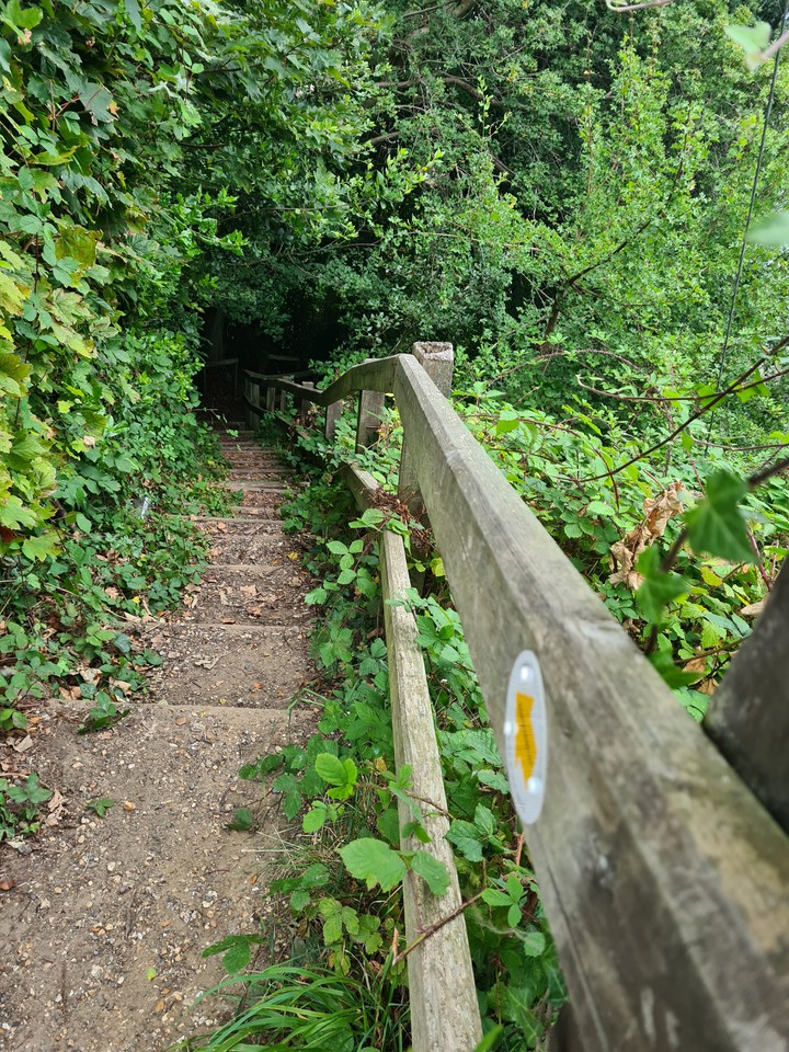nature