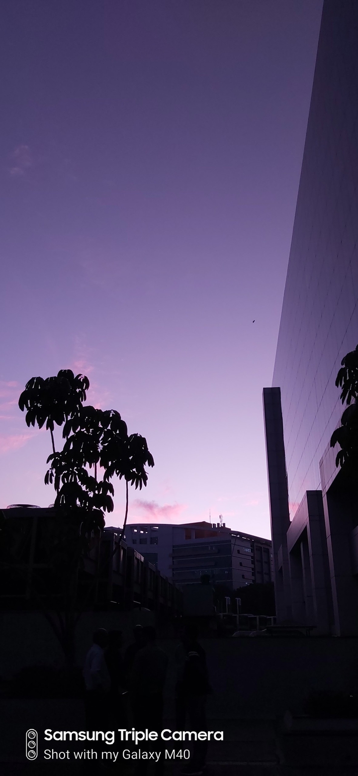 Purple sky makes me wanna fly