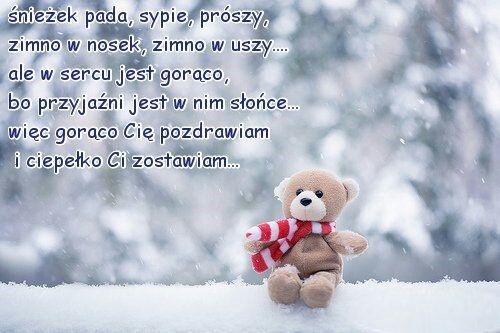 Miś