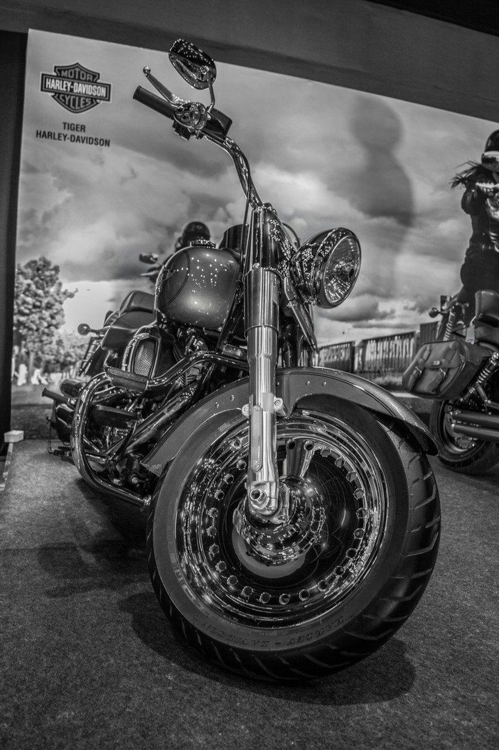 Harley Davidson