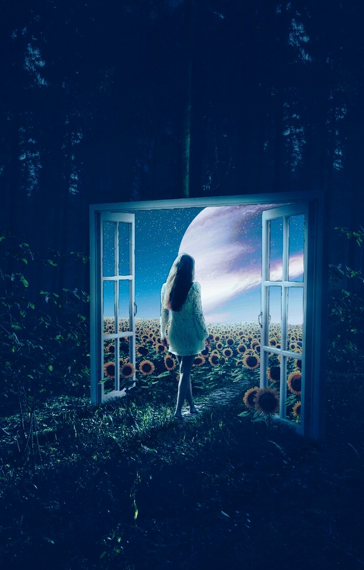 Into the meadow