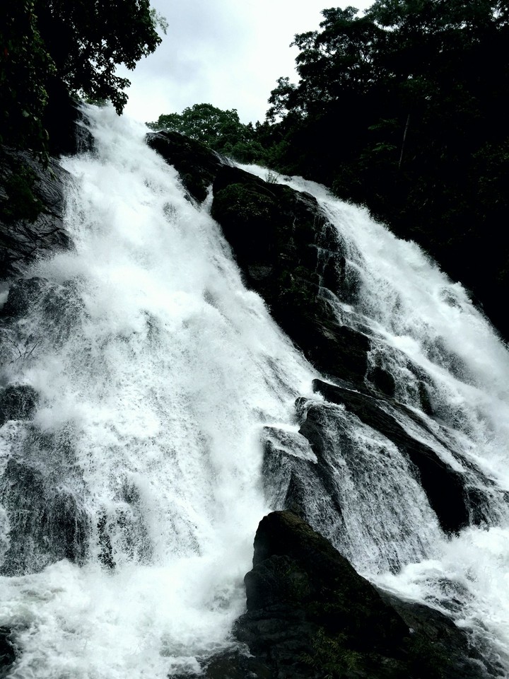 Water Fall